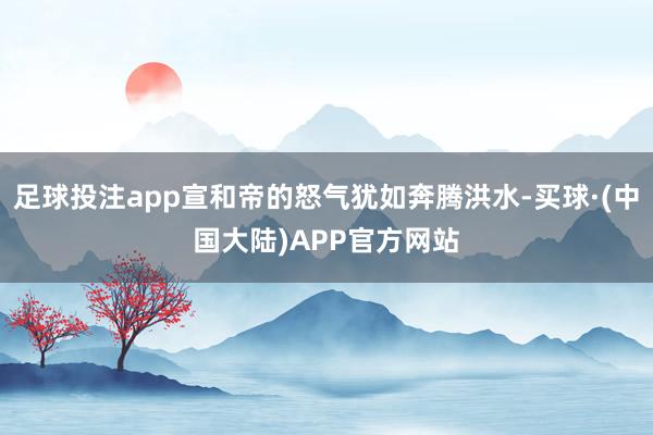 足球投注app宣和帝的怒气犹如奔腾洪水-买球·(中国大陆)APP官方网站