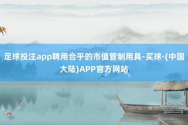 足球投注app聘用合乎的市值管制用具-买球·(中国大陆)APP官方网站