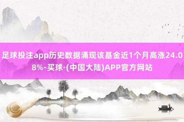 足球投注app历史数据涌现该基金近1个月高涨24.08%-买球·(中国大陆)APP官方网站