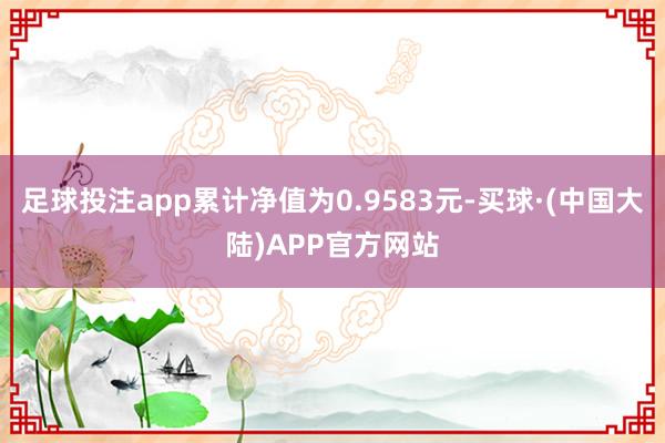 足球投注app累计净值为0.9583元-买球·(中国大陆)APP官方网站