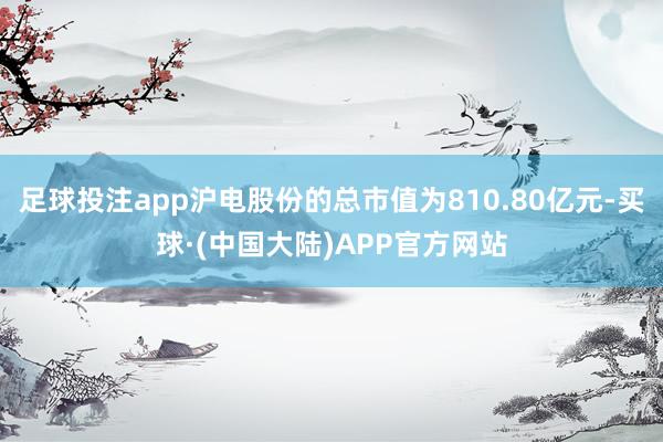 足球投注app沪电股份的总市值为810.80亿元-买球·(中国大陆)APP官方网站