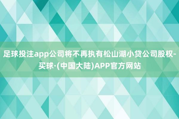 足球投注app公司将不再执有松山湖小贷公司股权-买球·(中国大陆)APP官方网站