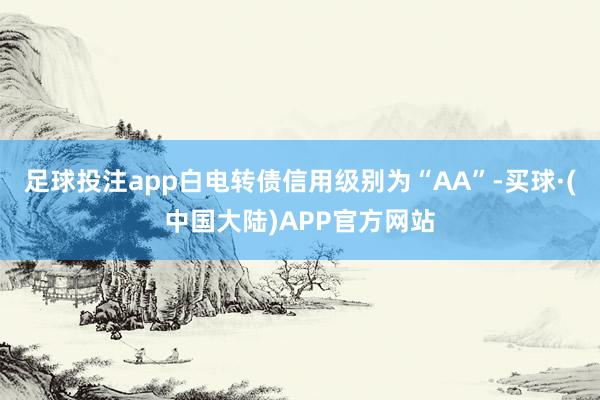 足球投注app白电转债信用级别为“AA”-买球·(中国大陆)APP官方网站