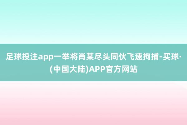 足球投注app一举将肖某尽头同伙飞速拘捕-买球·(中国大陆)APP官方网站