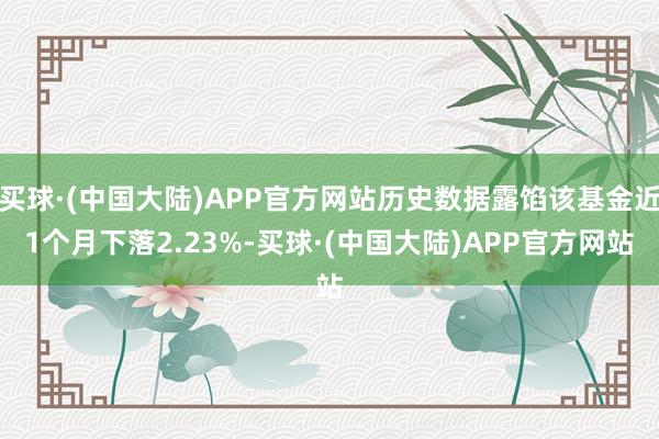 买球·(中国大陆)APP官方网站历史数据露馅该基金近1个月下落2.23%-买球·(中国大陆)APP官方网站