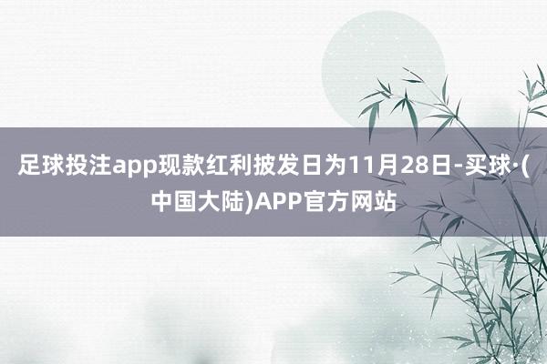 足球投注app现款红利披发日为11月28日-买球·(中国大陆)APP官方网站