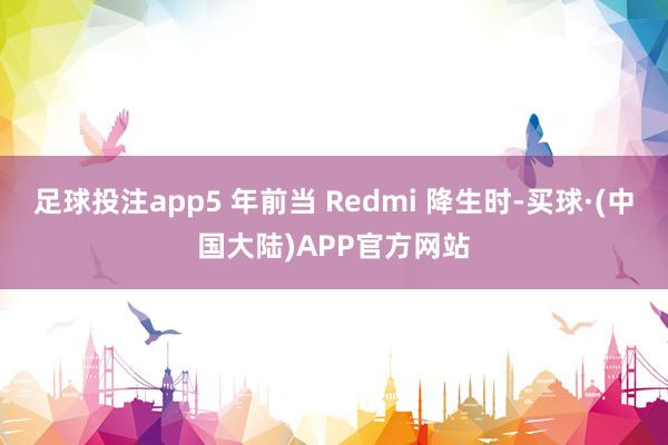 足球投注app5 年前当 Redmi 降生时-买球·(中国大陆)APP官方网站