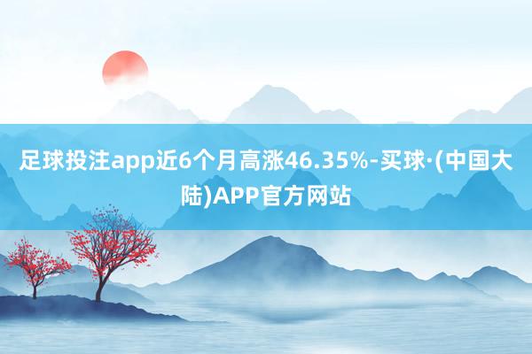 足球投注app近6个月高涨46.35%-买球·(中国大陆)APP官方网站