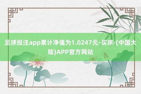 足球投注app累计净值为1.0247元-买球·(中国大陆)APP官方网站