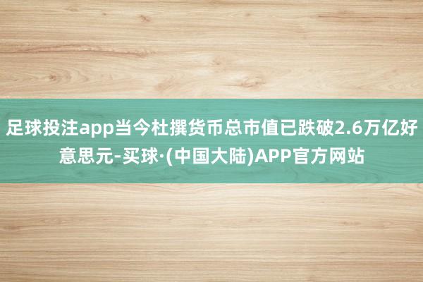 足球投注app当今杜撰货币总市值已跌破2.6万亿好意思元-买球·(中国大陆)APP官方网站