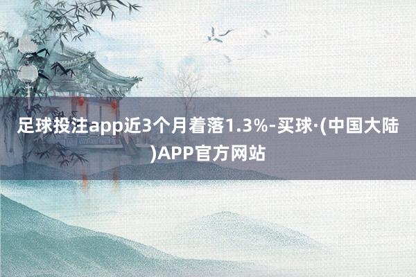 足球投注app近3个月着落1.3%-买球·(中国大陆)APP官方网站