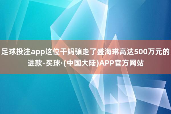 足球投注app这位干妈骗走了盛海琳高达500万元的进款-买球·(中国大陆)APP官方网站