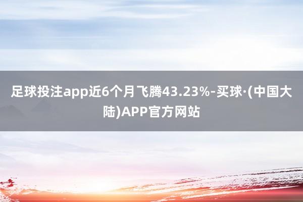 足球投注app近6个月飞腾43.23%-买球·(中国大陆)APP官方网站