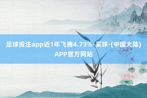 足球投注app近1年飞腾4.73%-买球·(中国大陆)APP官方网站