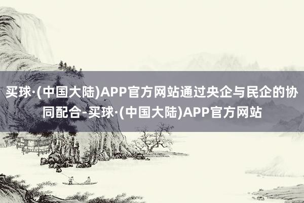 买球·(中国大陆)APP官方网站通过央企与民企的协同配合-买球·(中国大陆)APP官方网站