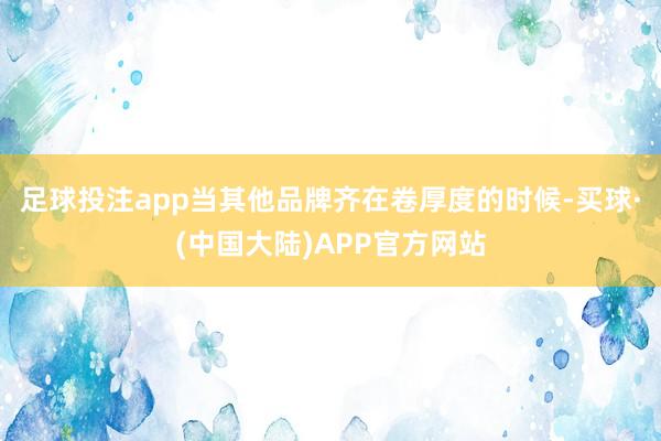 足球投注app当其他品牌齐在卷厚度的时候-买球·(中国大陆)APP官方网站